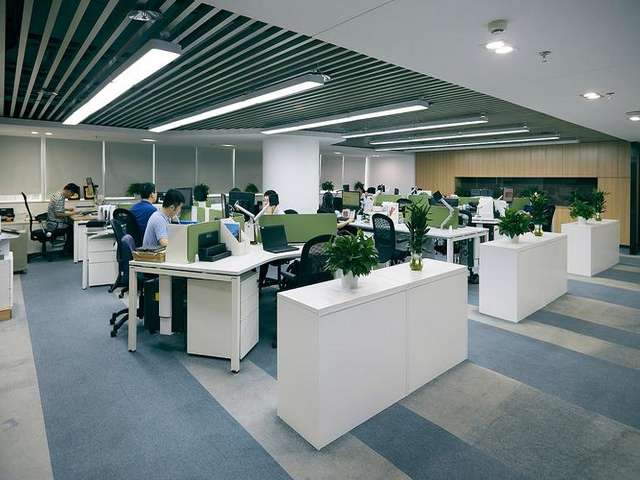 重庆恒温真空干燥箱品牌